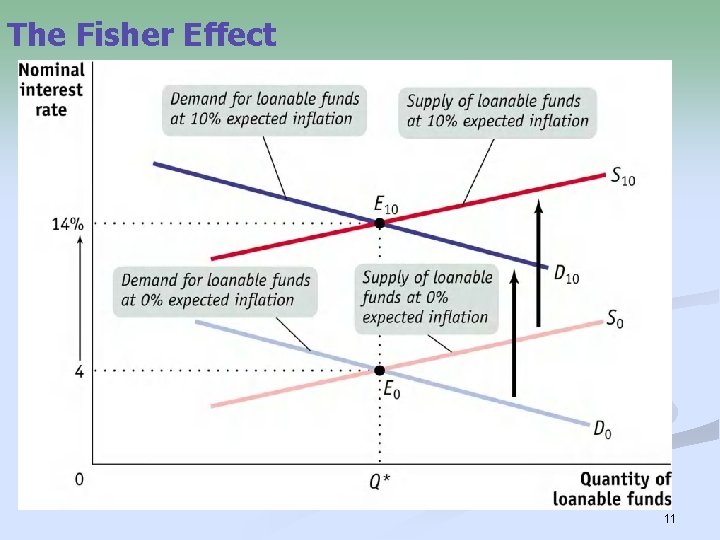 The Fisher Effect 11 