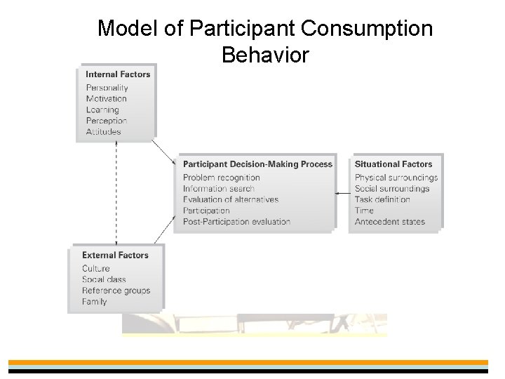 Model of Participant Consumption Behavior 
