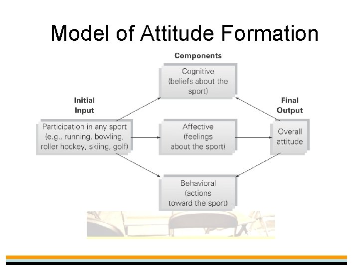 Model of Attitude Formation 