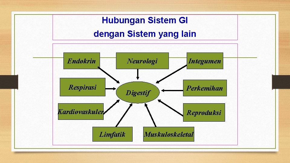 Hubungan Sistem GI dengan Sistem yang lain Endokrin Neurologi Respirasi Digestif Kardiovaskuler Limfatik Integumen