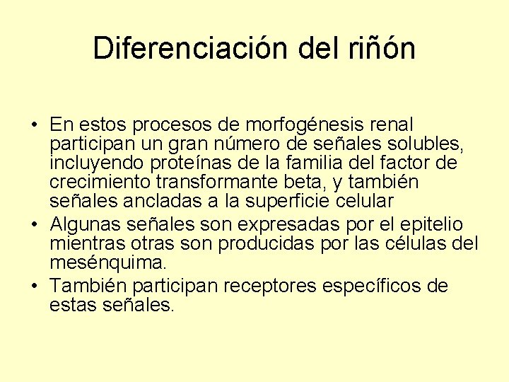 Diferenciación del riñón • En estos procesos de morfogénesis renal participan un gran número