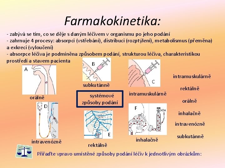 Farmakokinetika: - zabývá se tím, co se děje s daným léčivem v organismu po