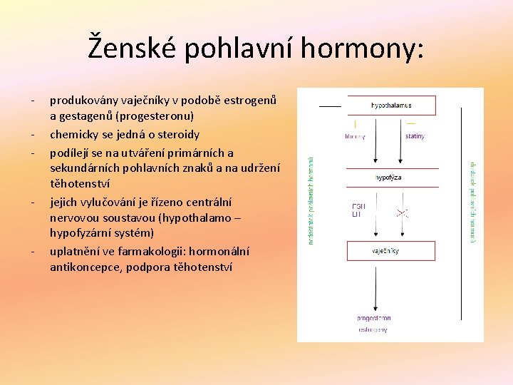 Ženské pohlavní hormony: - - - produkovány vaječníky v podobě estrogenů a gestagenů (progesteronu)