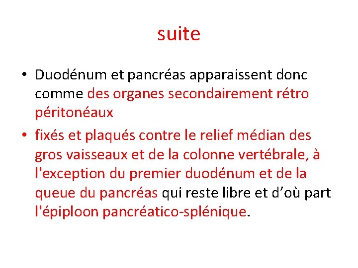 suite • Duodénum et pancréas apparaissent donc comme des organes secondairement rétro péritonéaux •