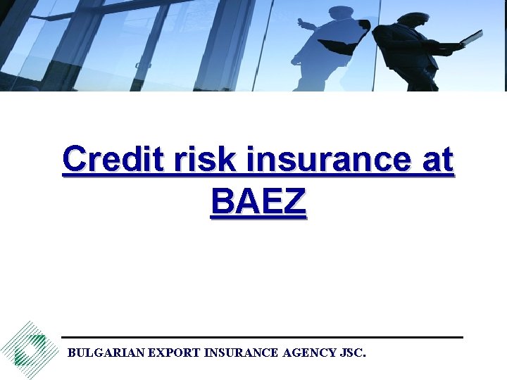 Credit risk insurance at BAEZ BULGARIAN EXPORT INSURANCE AGENCY JSC. 