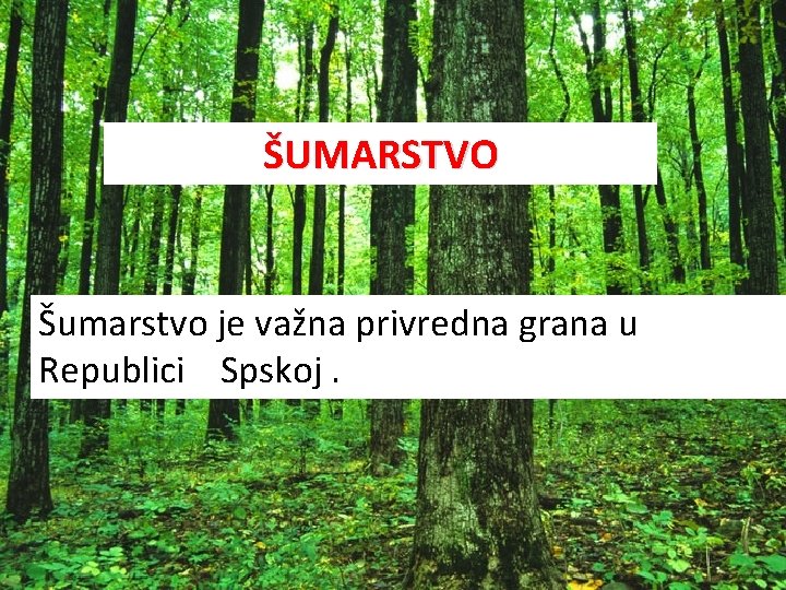 ŠUMARSTVO Šumarstvo je važna privredna grana u Republici Spskoj. 