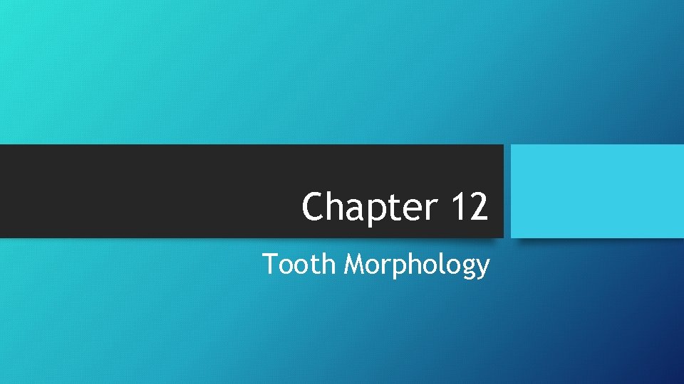 Chapter 12 Tooth Morphology 