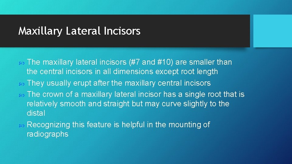 Maxillary Lateral Incisors The maxillary lateral incisors (#7 and #10) are smaller than the