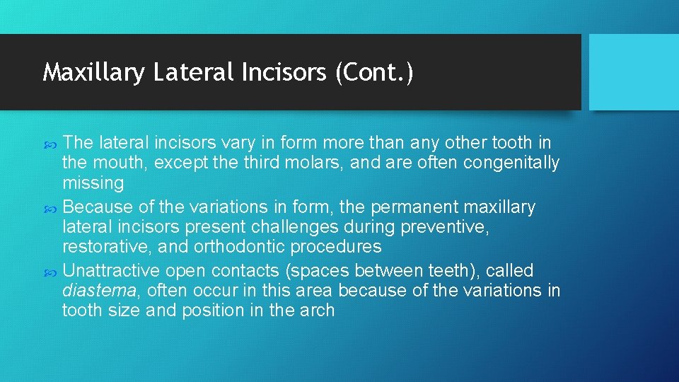 Maxillary Lateral Incisors (Cont. ) The lateral incisors vary in form more than any