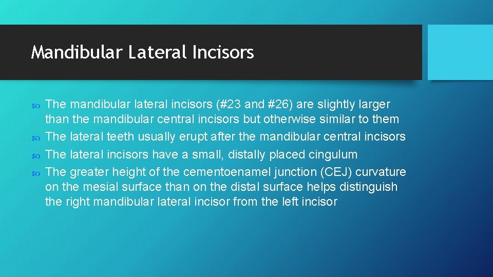 Mandibular Lateral Incisors The mandibular lateral incisors (#23 and #26) are slightly larger than