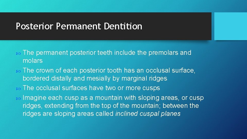 Posterior Permanent Dentition The permanent posterior teeth include the premolars and molars The crown