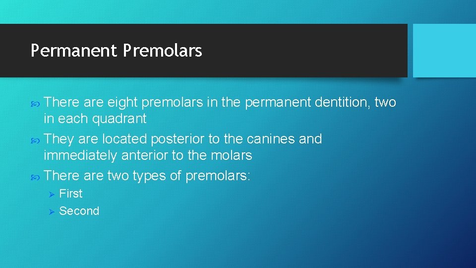 Permanent Premolars There are eight premolars in the permanent dentition, two in each quadrant