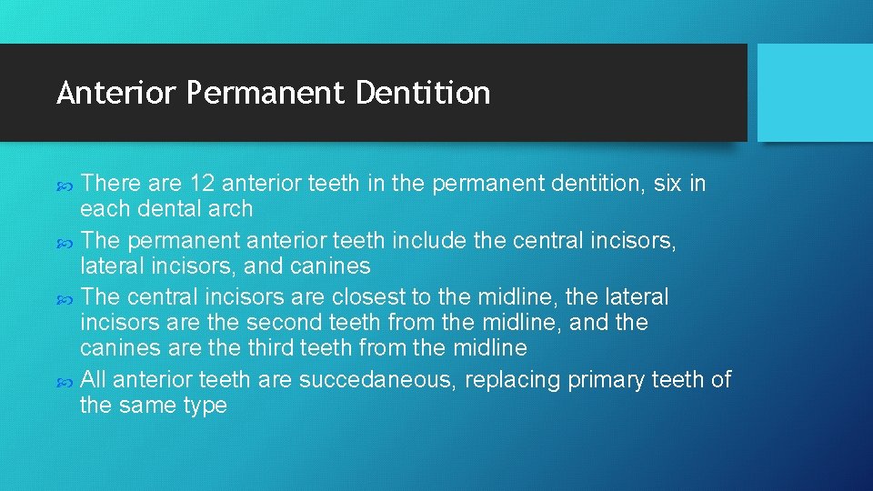 Anterior Permanent Dentition There are 12 anterior teeth in the permanent dentition, six in