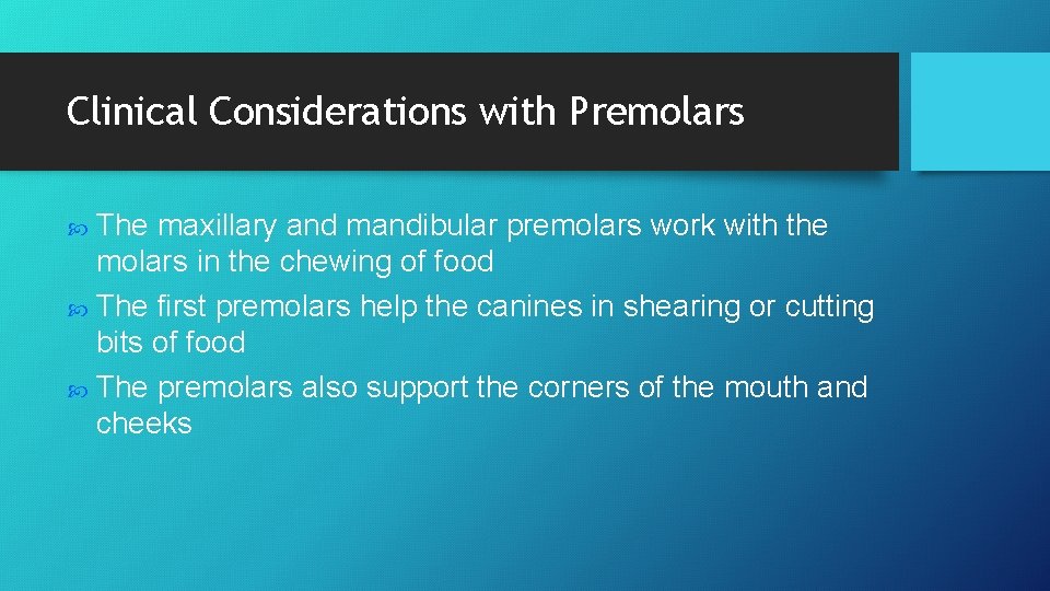 Clinical Considerations with Premolars The maxillary and mandibular premolars work with the molars in