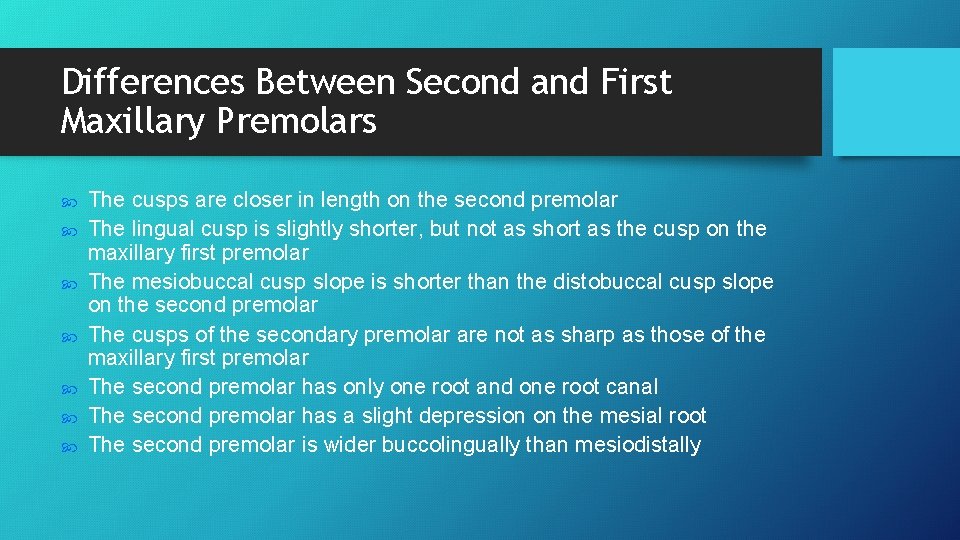 Differences Between Second and First Maxillary Premolars The cusps are closer in length on