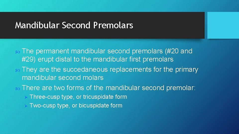 Mandibular Second Premolars The permanent mandibular second premolars (#20 and #29) erupt distal to