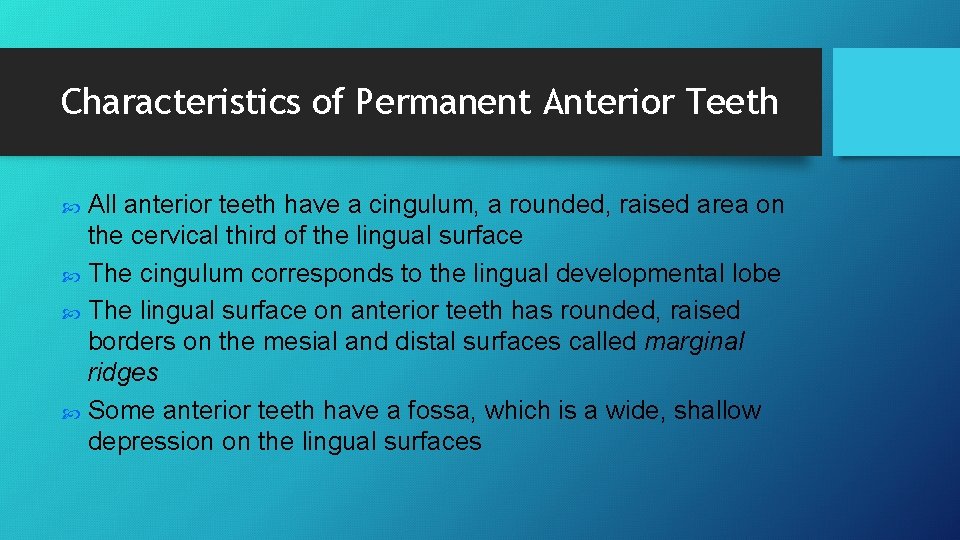 Characteristics of Permanent Anterior Teeth All anterior teeth have a cingulum, a rounded, raised