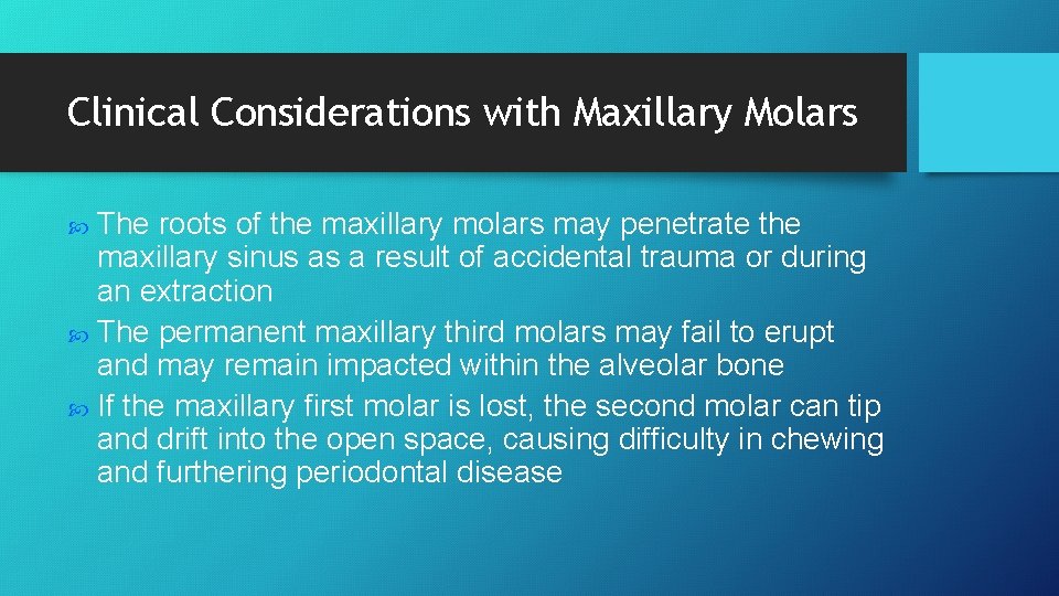 Clinical Considerations with Maxillary Molars The roots of the maxillary molars may penetrate the