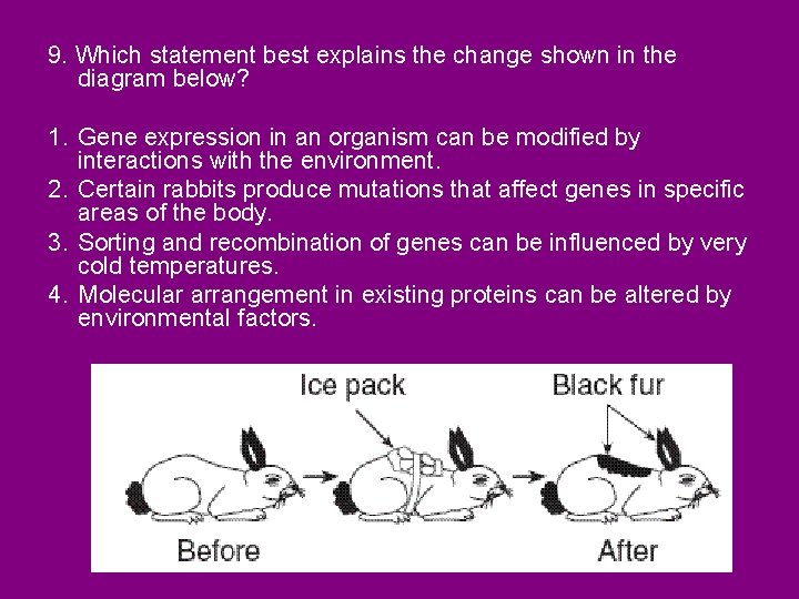 9. Which statement best explains the change shown in the diagram below? 1. Gene