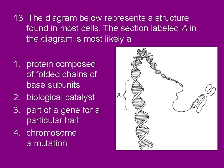 13. The diagram below represents a structure found in most cells. The section labeled