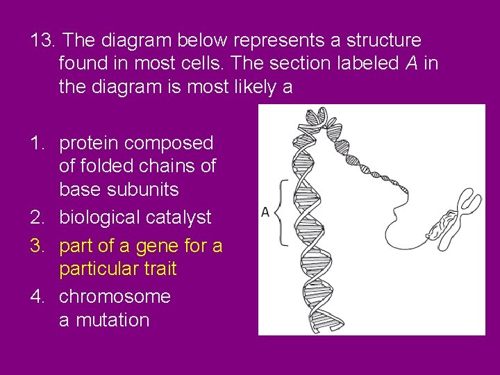 13. The diagram below represents a structure found in most cells. The section labeled