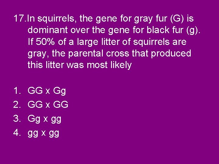 17. In squirrels, the gene for gray fur (G) is dominant over the gene