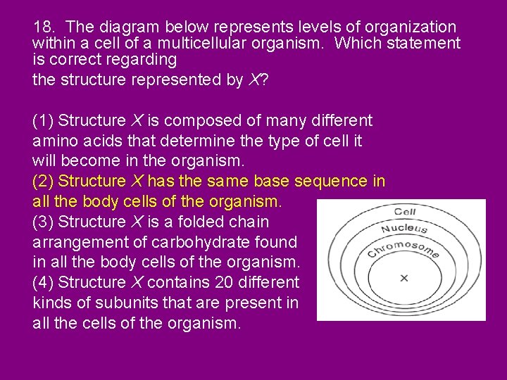 18. The diagram below represents levels of organization within a cell of a multicellular