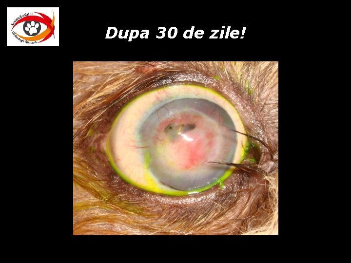 Dupa 30 de zile! Dupa 30 de zile!