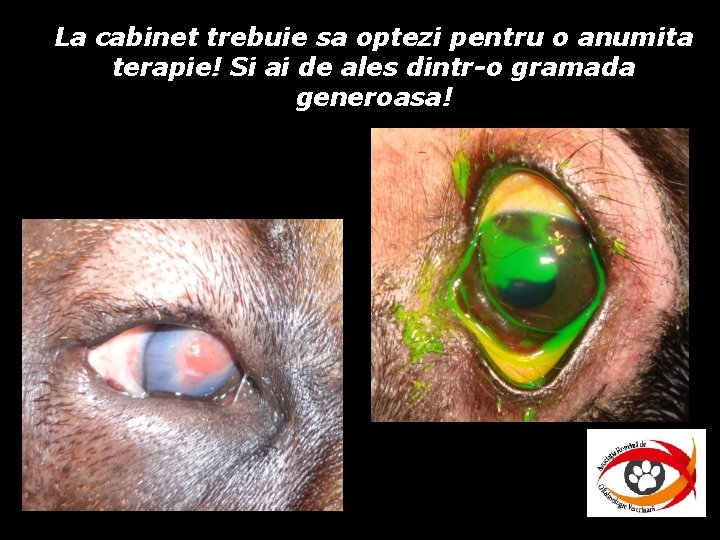 La cabinet trebuie sa optezi pentru o anumita terapie! Si ai de ales dintr-o La cabinet trebuie sa optezi pentru o anumita terapie! Si ai de ales dintr-o