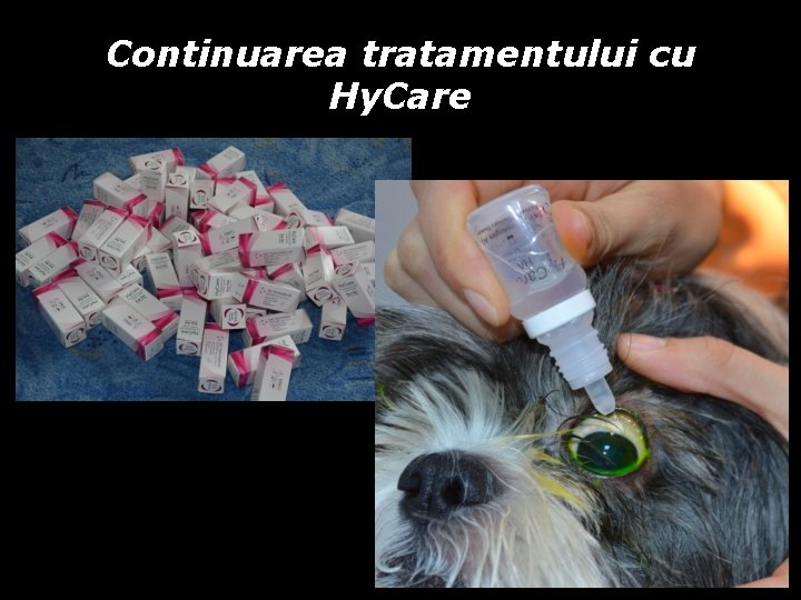 Continuarea tratamentului cu Hy. Care Continuarea tratamentului cu Hy. Care