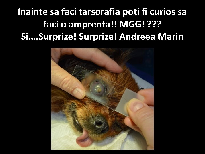 Inainte sa faci tarsorafia poti fi curios sa faci o amprenta!! MGG! ? ? Inainte sa faci tarsorafia poti fi curios sa faci o amprenta!! MGG! ? ?