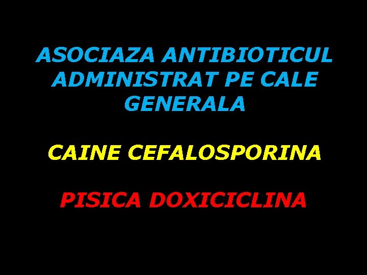 ASOCIAZA ANTIBIOTICUL ADMINISTRAT PE CALE GENERALA CAINE CEFALOSPORINA PISICA DOXICICLINA ASOCIAZA ANTIBIOTICUL ADMINISTRAT PE CALE GENERALA CAINE CEFALOSPORINA PISICA DOXICICLINA