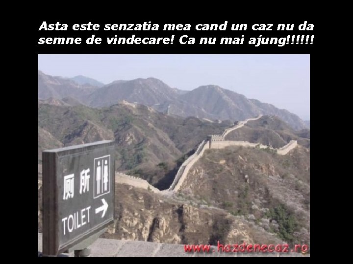 Asta este senzatia mea cand un caz nu da semne de vindecare! Ca nu Asta este senzatia mea cand un caz nu da semne de vindecare! Ca nu
