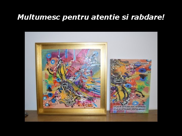 Multumesc pentru atentie si rabdare! Multumesc pentru atentie si rabdare!