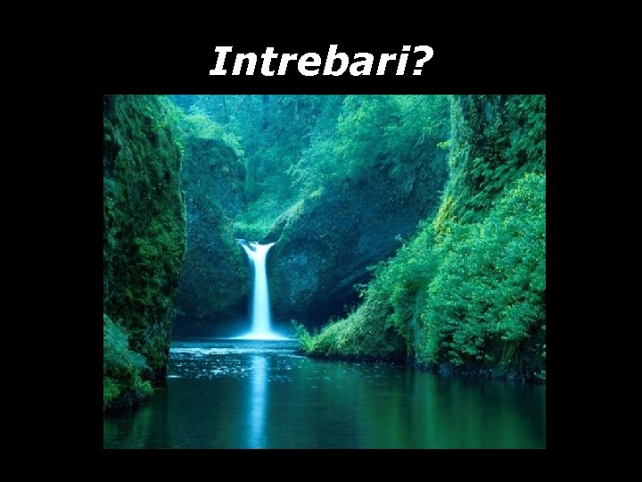 Intrebari? Intrebari?