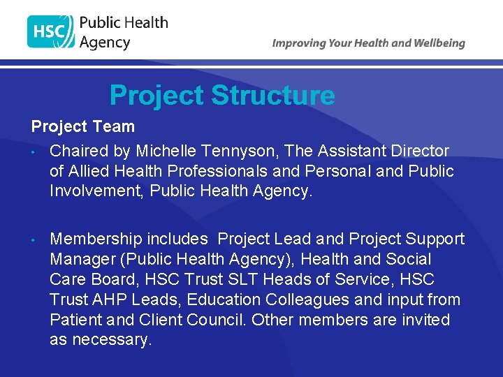 Project Structure Project Team • Chaired by Michelle Tennyson, The Assistant Director of Allied