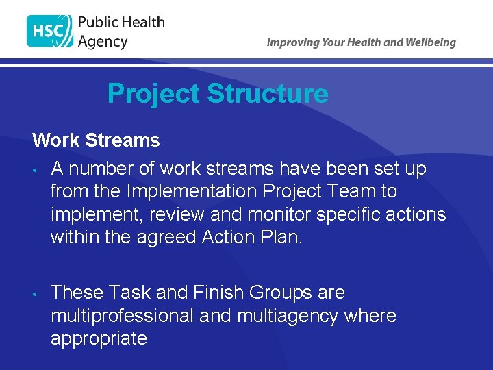 Project Structure Work Streams • A number of work streams have been set up