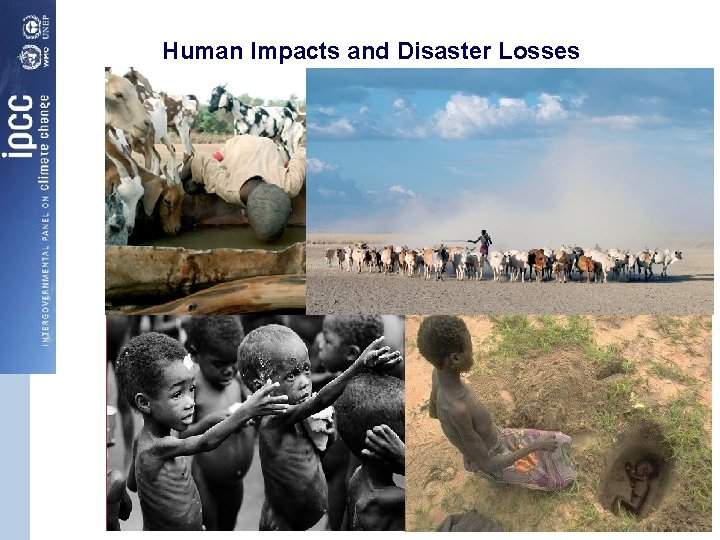 Human Impacts and Disaster Losses 