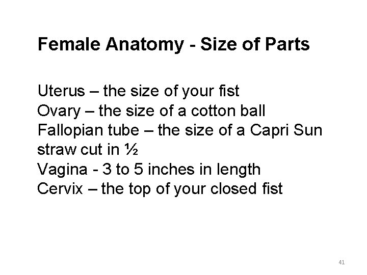 Female Anatomy - Size of Parts Uterus – the size of your fist Ovary