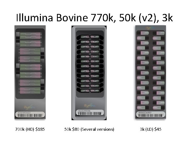 Illumina Bovine 770 k, 50 k (v 2), 3 k 700 k (HD) $185