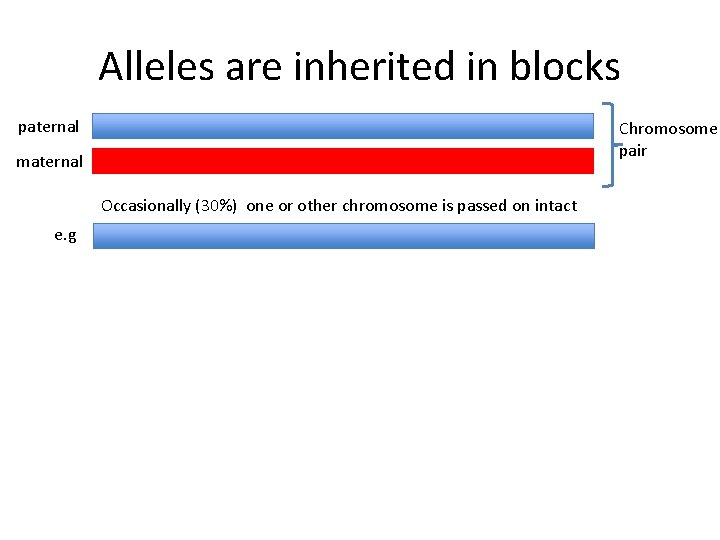 Alleles are inherited in blocks paternal Chromosome pair maternal Occasionally (30%) one or other