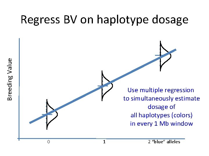 Breeding Value Regress BV on haplotype dosage Use multiple regression to simultaneously estimate dosage