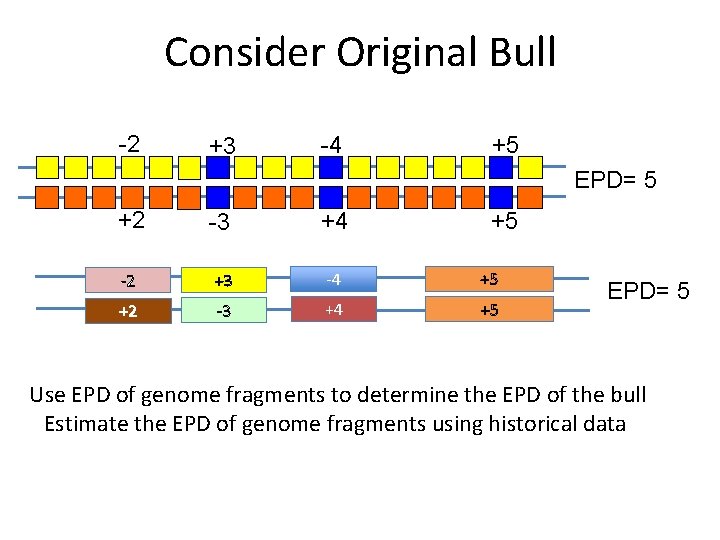 Consider Original Bull -2 +3 -4 +5 EPD= 5 +2 -3 +4 -2 +3
