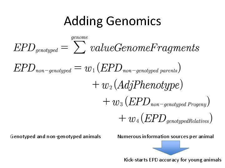 Adding Genomics Genotyped and non-genotyped animals Numerous information sources per animal Kick-starts EPD accuracy