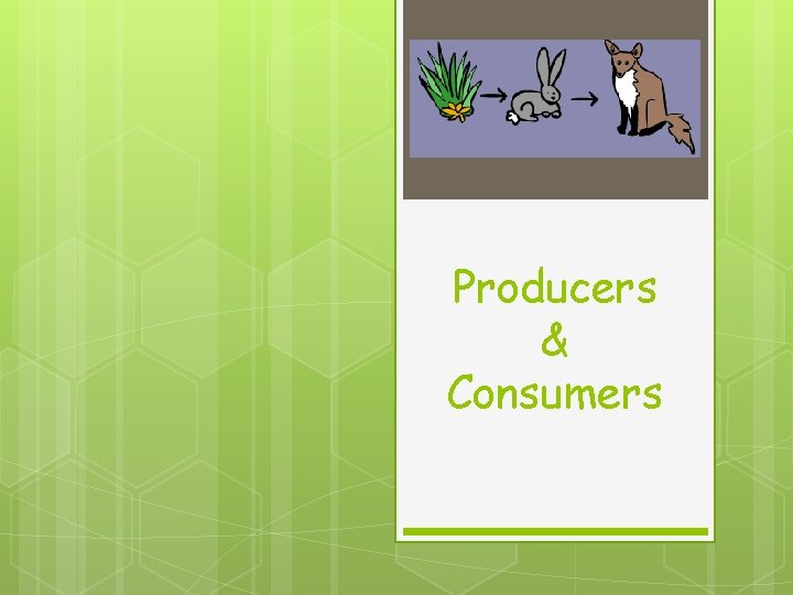 Producers & Consumers 