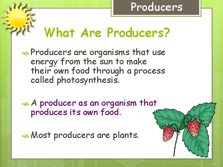 Producers What Are Producers? Producers are organisms that use energy from the sun to