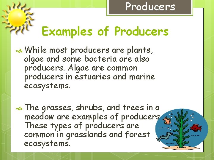 Producers Examples of Producers While most producers are plants, algae and some bacteria are