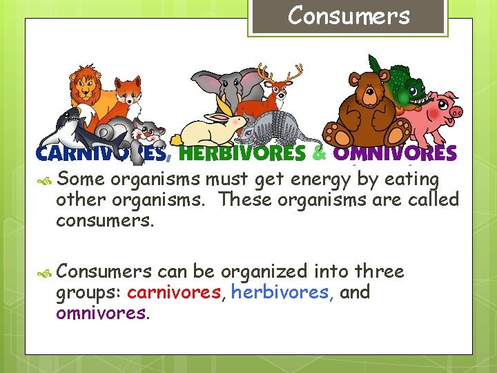 Consumers Some organisms must get energy by eating other organisms. These organisms are called