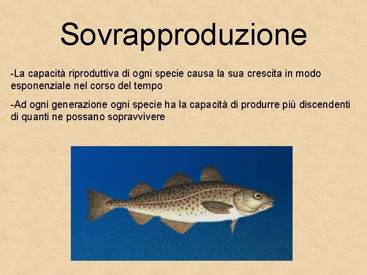 Sovrapproduzione -La capacità riproduttiva di ogni specie causa la sua crescita in modo esponenziale