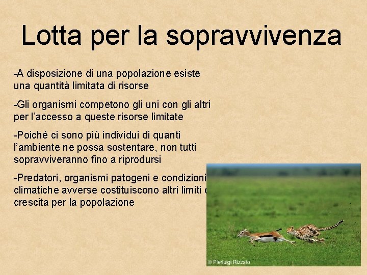 Lotta per la sopravvivenza -A disposizione di una popolazione esiste una quantità limitata di